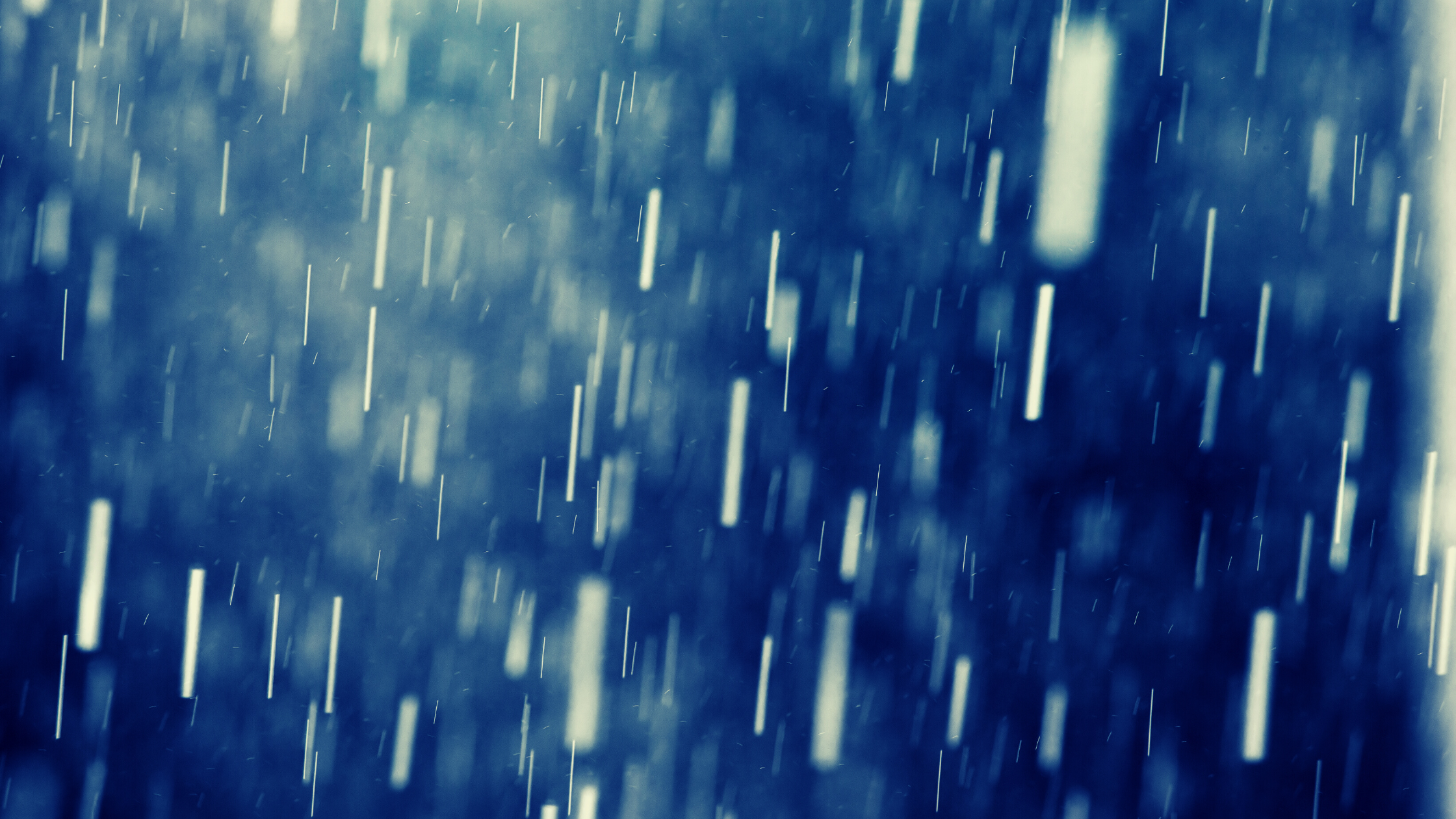 Greenwood Academy Part 5