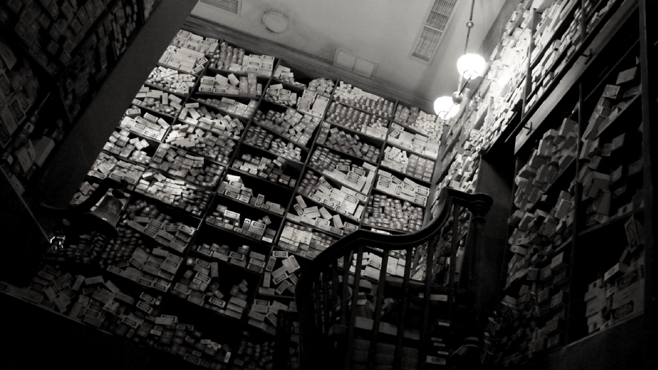 The Beauvais Family – Magical Freedom Fighters