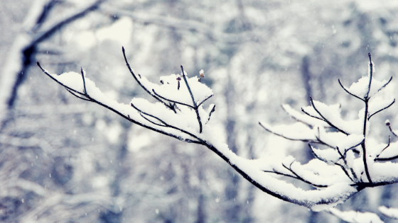 Beneath the Surface – Part 3