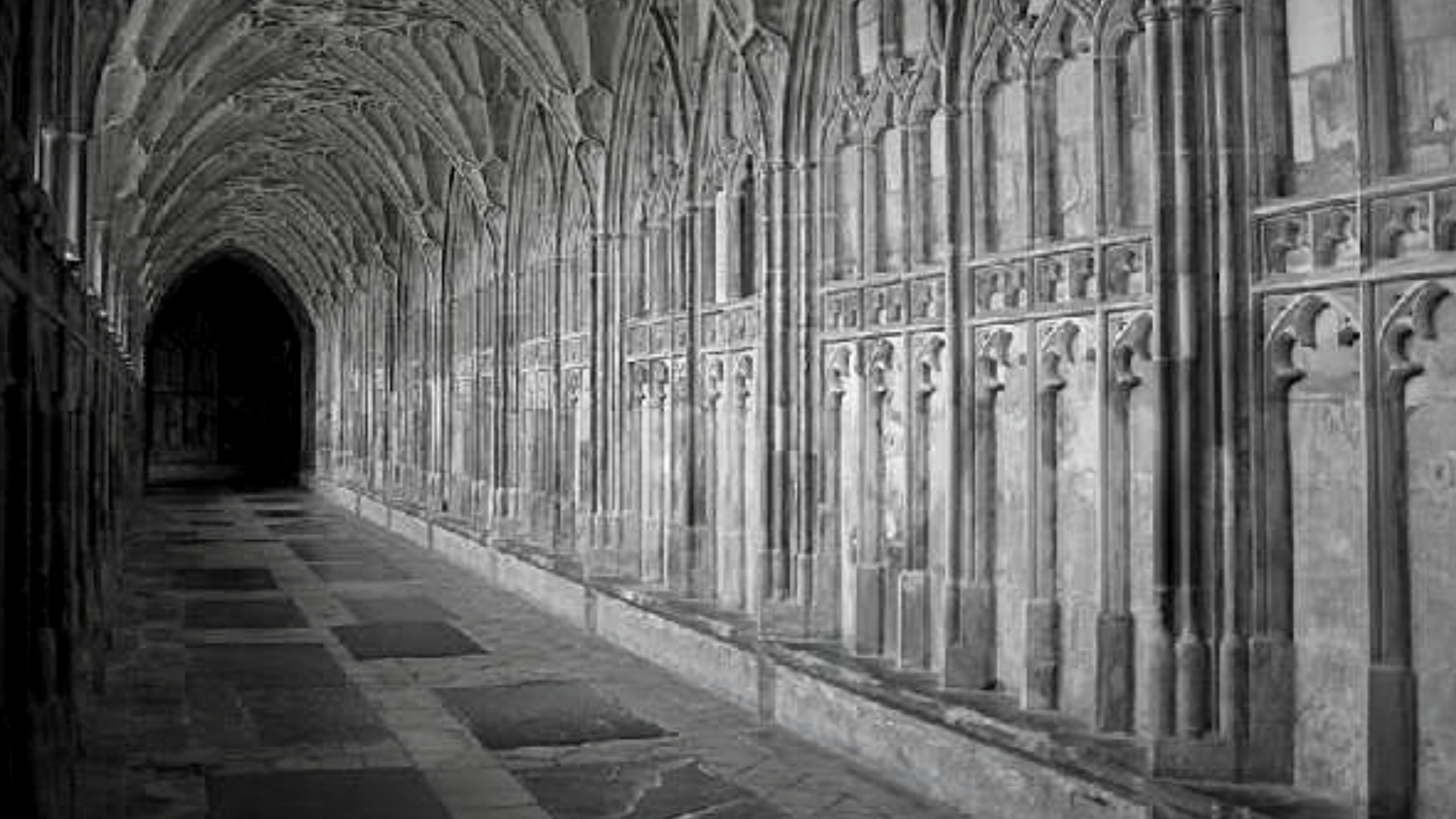 To All The Wizards: The Fight