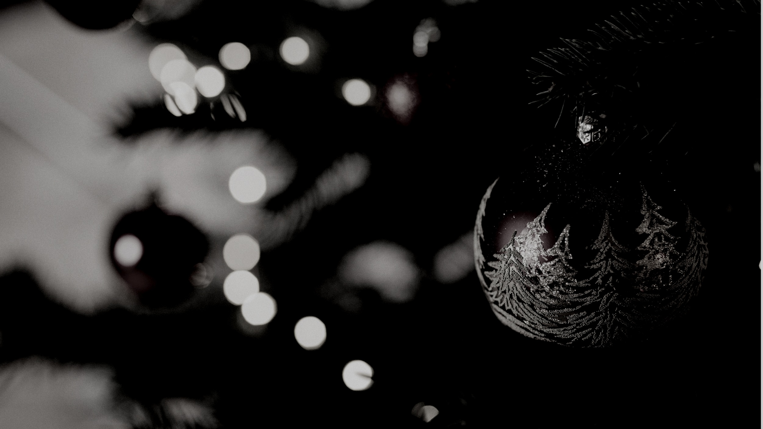 To All The Wizards: The End