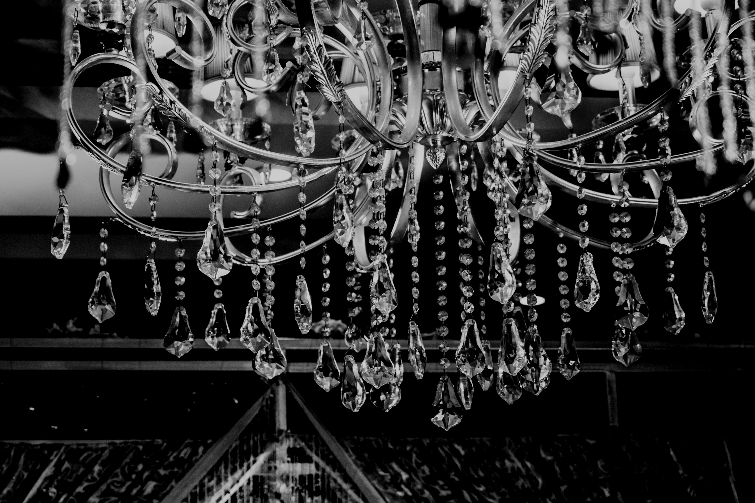 To All The Wizards: The Party