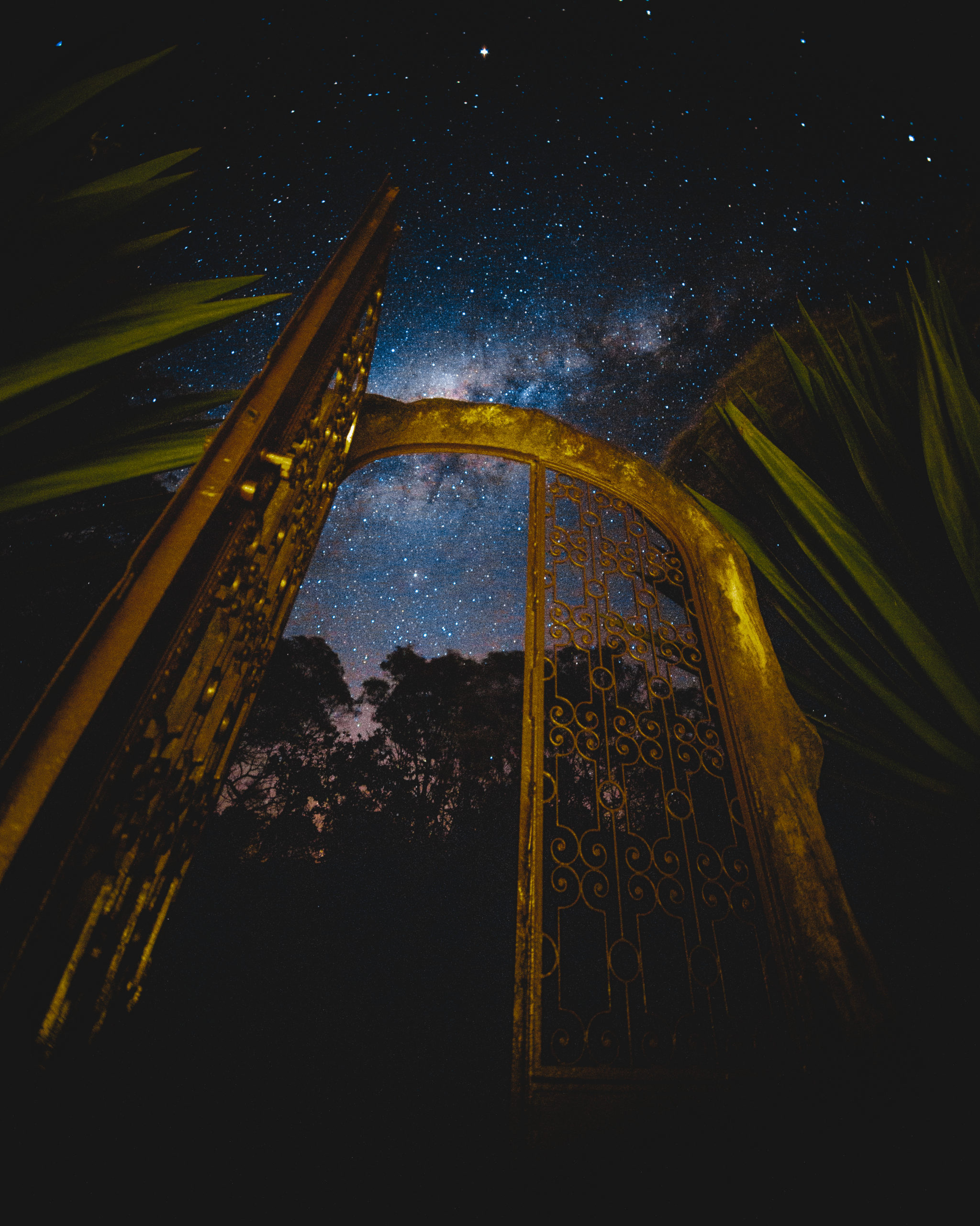 A Journey Through the Diaspora – Part 3