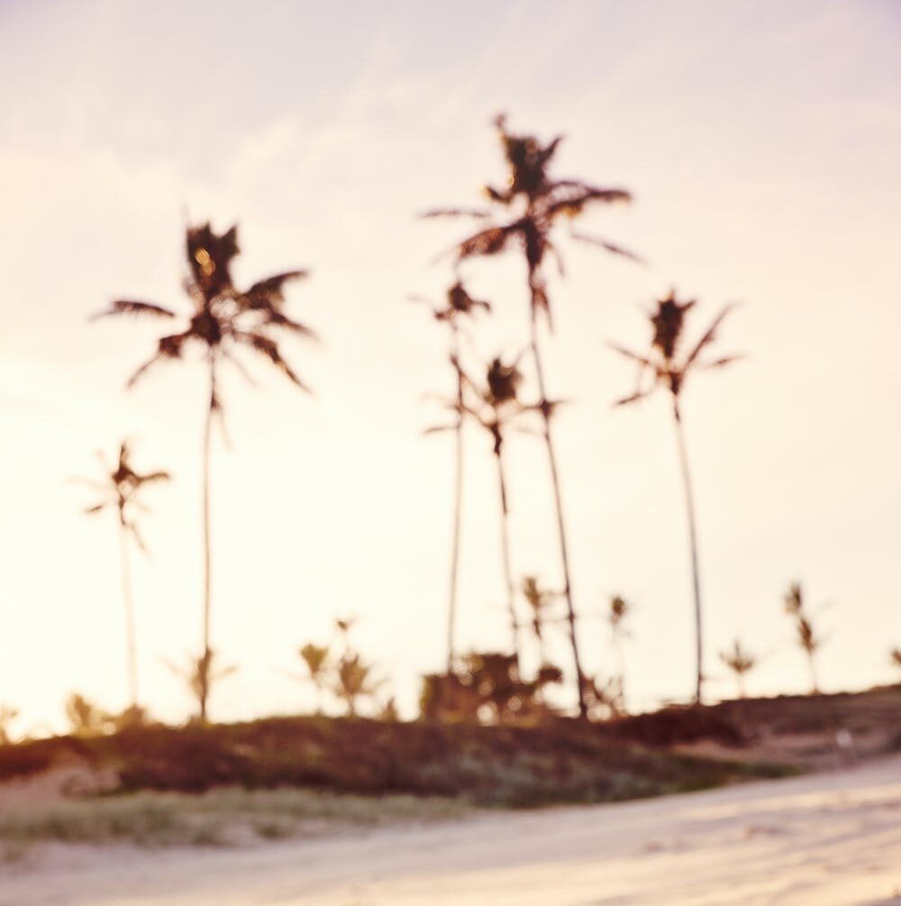 A Journey Through the Diaspora – Part 5